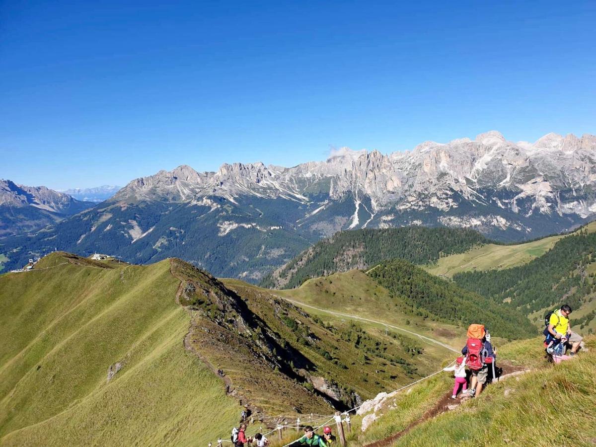 Family Hotel Andes - Only For Family Vigo di Fassa Exterior photo